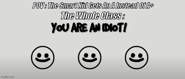 You Are An Idiot Meme Cube