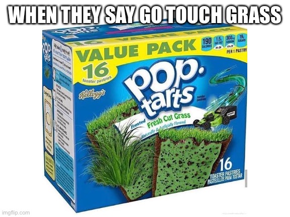The perfect solution |  WHEN THEY SAY GO TOUCH GRASS | image tagged in poptart,grass | made w/ Imgflip meme maker
