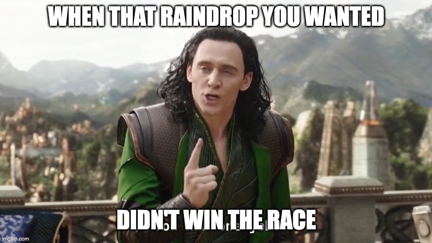 You had one job. Just the one | WHEN THAT RAINDROP YOU WANTED; DIDN'T WIN THE RACE | image tagged in you had one job just the one | made w/ Imgflip meme maker