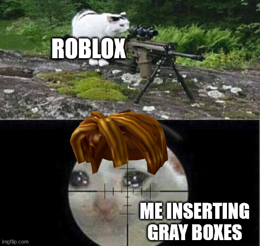 i got banned (username: YourThereDamnBois) | ROBLOX; ME INSERTING GRAY BOXES | image tagged in sniper cat | made w/ Imgflip meme maker