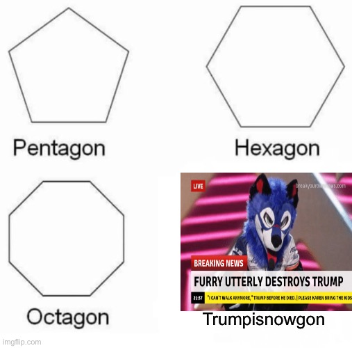 Nice. | Trumpisnowgon | image tagged in memes,pentagon hexagon octagon | made w/ Imgflip meme maker