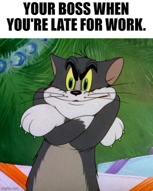 Late. | YOUR BOSS WHEN YOU'RE LATE FOR WORK. | image tagged in angry tom | made w/ Imgflip meme maker