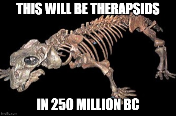 THIS WILL BE THERAPSIDS; IN 250 MILLION BC | made w/ Imgflip meme maker