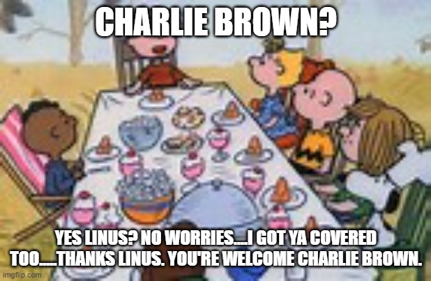 charlie brown thanksgiving | CHARLIE BROWN? YES LINUS? NO WORRIES....I GOT YA COVERED TOO.....THANKS LINUS. YOU'RE WELCOME CHARLIE BROWN. | image tagged in charlie brown thanksgiving | made w/ Imgflip meme maker