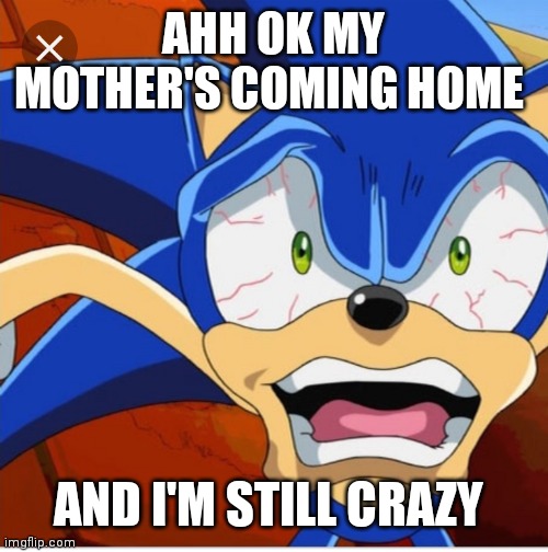 Crazy Sonic | AHH OK MY MOTHER'S COMING HOME; AND I'M STILL CRAZY | image tagged in funny memes | made w/ Imgflip meme maker