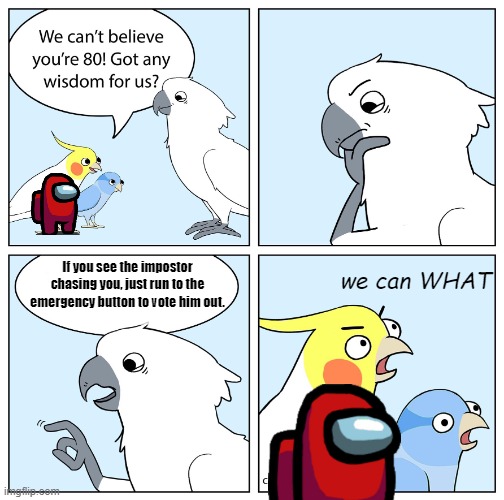 The Wise Old Bird talks about Among Us | If you see the impostor chasing you, just run to the emergency button to vote him out. we can WHAT | image tagged in chicken thoughts the wise old bird,among us | made w/ Imgflip meme maker