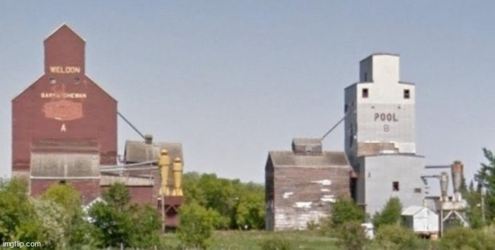 real | made w/ Imgflip meme maker