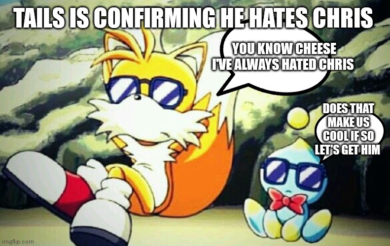 Tails and cheese | TAILS IS CONFIRMING HE HATES CHRIS; YOU KNOW CHEESE I'VE ALWAYS HATED CHRIS; DOES THAT MAKE US COOL IF SO LET'S GET HIM | image tagged in funny memes | made w/ Imgflip meme maker