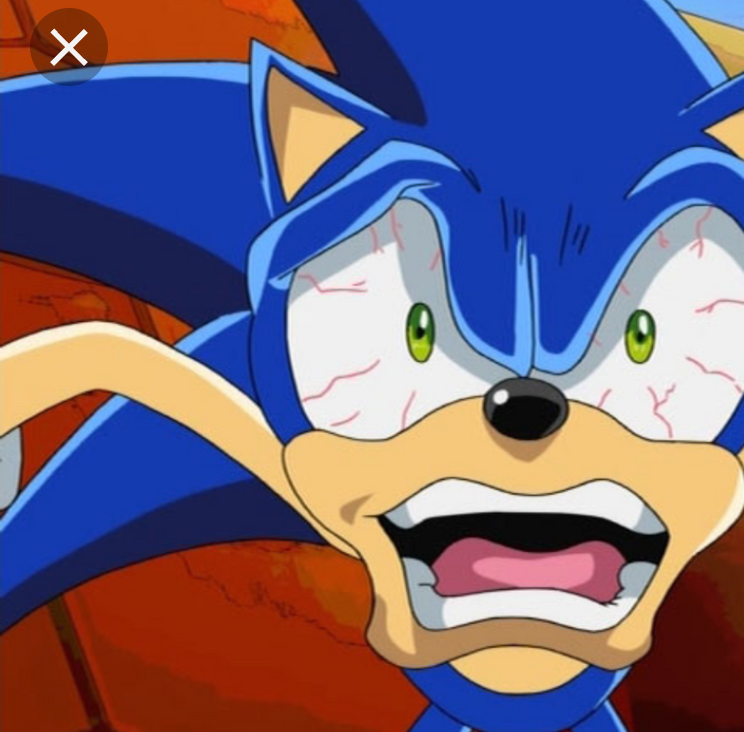 Crazy Sonic Blank Meme Template