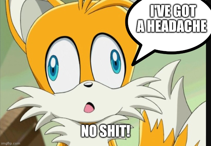 Tails out of context | I'VE GOT A HEADACHE; NO SHIT! | image tagged in funny memes | made w/ Imgflip meme maker