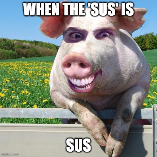 WHEN THE SUS IS SUS | WHEN THE 'SUS' IS; SUS | image tagged in sus | made w/ Imgflip meme maker