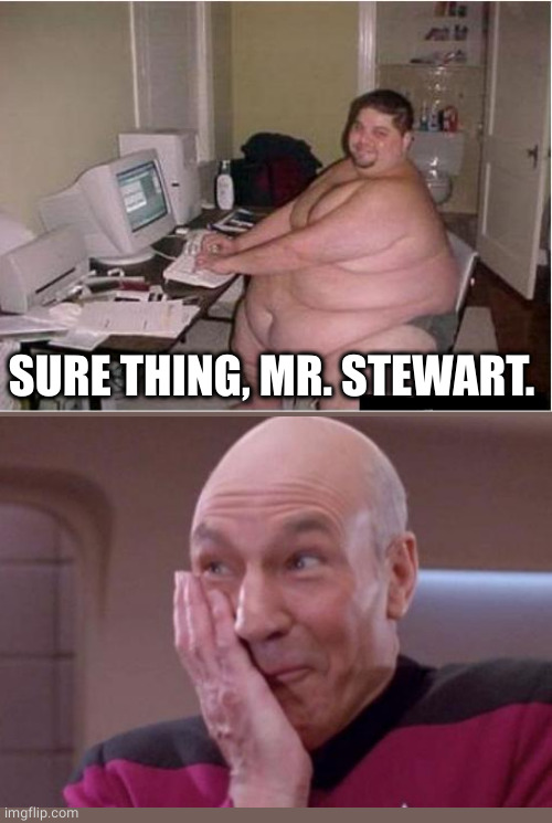 really fat guy on computer | SURE THING, MR. STEWART. | image tagged in really fat guy on computer | made w/ Imgflip meme maker