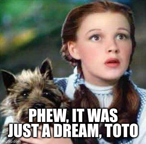 dorothy | PHEW, IT WAS JUST A DREAM, TOTO | image tagged in dorothy | made w/ Imgflip meme maker