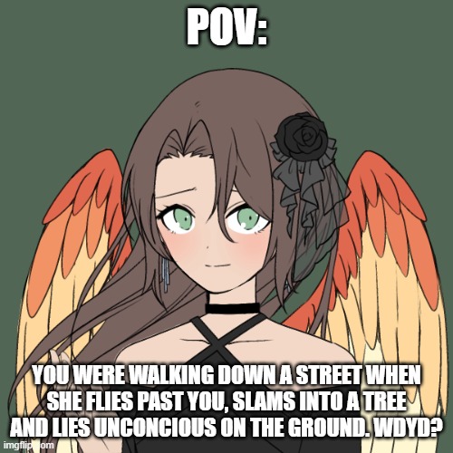Romance RP, rules in tags, males preffered but not requiered | POV:; YOU WERE WALKING DOWN A STREET WHEN SHE FLIES PAST YOU, SLAMS INTO A TREE AND LIES UNCONCIOUS ON THE GROUND. WDYD? | image tagged in no bambi,no erp,no joke or bambi ocs,no military ocs of killing her | made w/ Imgflip meme maker