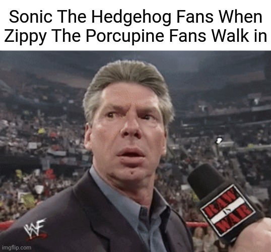Zippy The Porcupine Is A Legend | Sonic The Hedgehog Fans When Zippy The Porcupine Fans Walk in | image tagged in x when y walks in | made w/ Imgflip meme maker