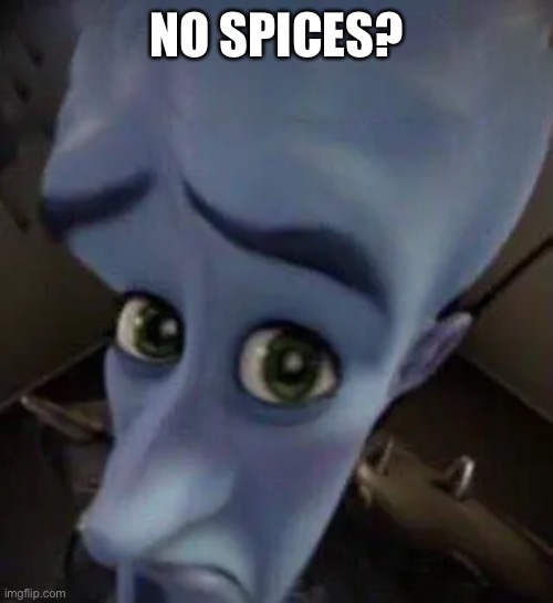 megamind no b | NO SPICES? | image tagged in megamind no b | made w/ Imgflip meme maker