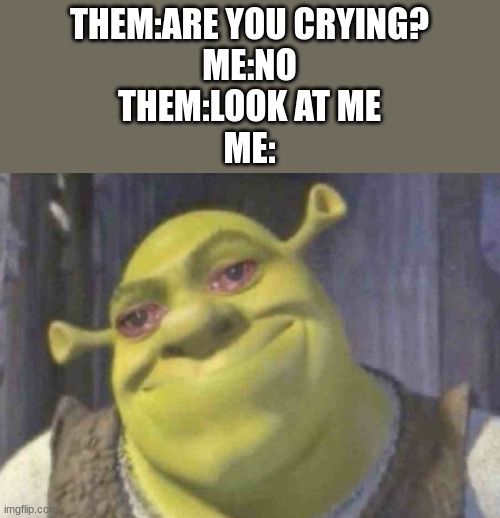 This relates on a high level | THEM:ARE YOU CRYING?
ME:NO
THEM:LOOK AT ME
ME: | image tagged in crying shrek,shrek is love,shrek for five minutes,shrek sexy face | made w/ Imgflip meme maker