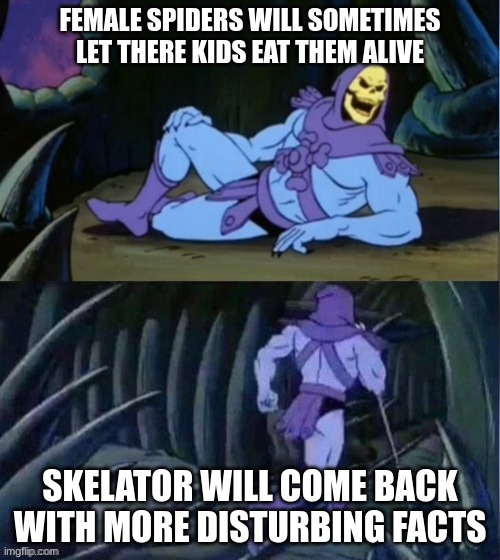Disturbing | FEMALE SPIDERS WILL SOMETIMES LET THERE KIDS EAT THEM ALIVE; SKELATOR WILL COME BACK WITH MORE DISTURBING FACTS | image tagged in skelator facts | made w/ Imgflip meme maker