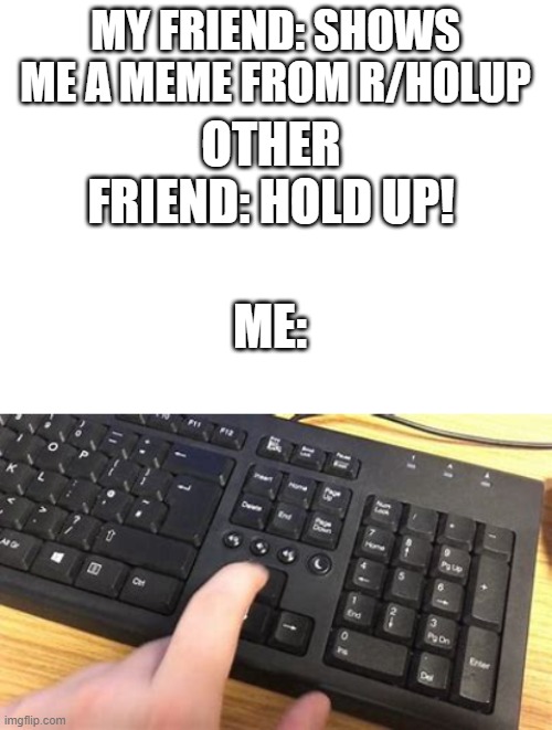 i mean im not wrong | MY FRIEND: SHOWS ME A MEME FROM R/HOLUP; OTHER FRIEND: HOLD UP! ME: | image tagged in blank white template | made w/ Imgflip meme maker