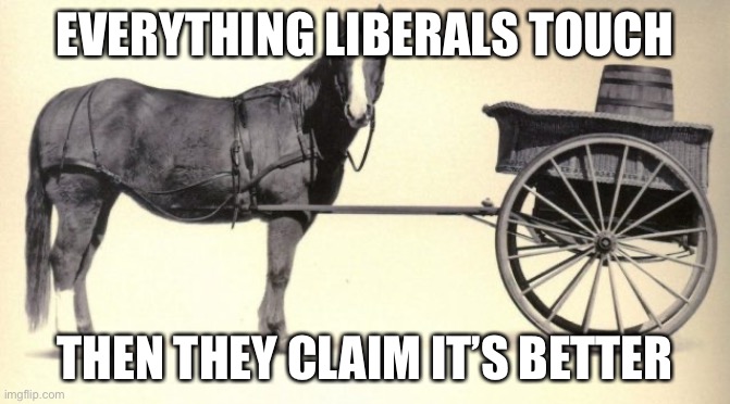 the cart before the horse | EVERYTHING LIBERALS TOUCH THEN THEY CLAIM IT’S BETTER | image tagged in the cart before the horse | made w/ Imgflip meme maker