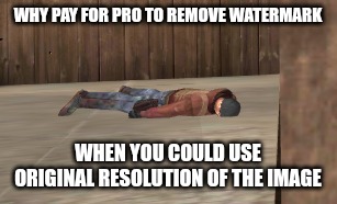 dead | WHY PAY FOR PRO TO REMOVE WATERMARK; WHEN YOU COULD USE ORIGINAL RESOLUTION OF THE IMAGE | image tagged in dead | made w/ Imgflip meme maker