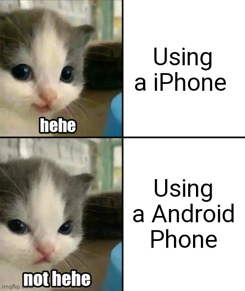 iPhone vs Android | Using a iPhone; Using a Android Phone | image tagged in cute cat hehe and not hehe | made w/ Imgflip meme maker