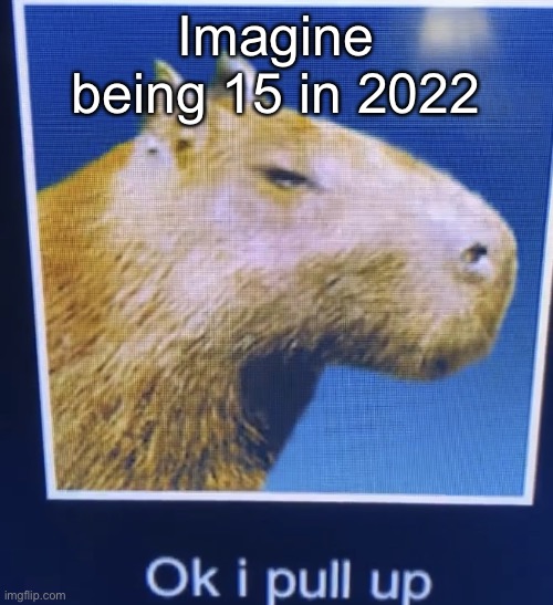 ok i pull up | Imagine being 15 in 2022 | image tagged in ok i pull up | made w/ Imgflip meme maker