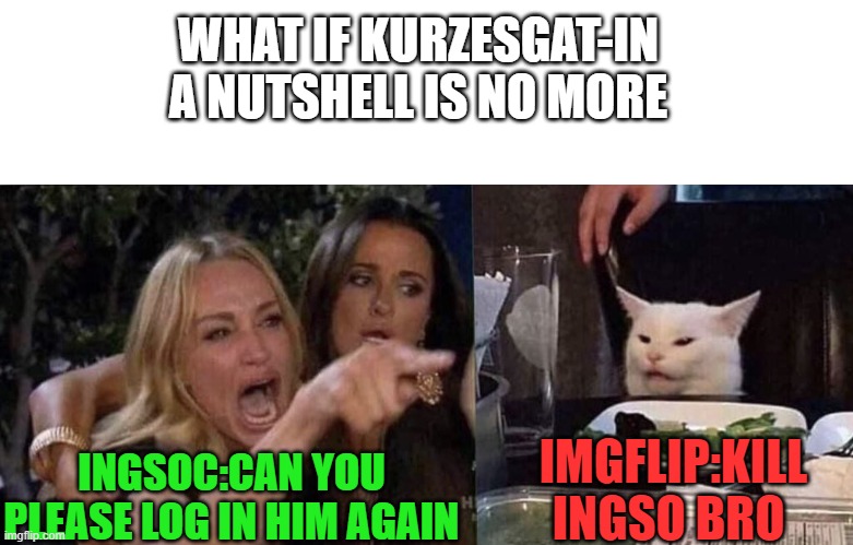 Are u serious | WHAT IF KURZESGAT-IN A NUTSHELL IS NO MORE; INGSOC:CAN YOU PLEASE LOG IN HIM AGAIN; IMGFLIP:KILL INGSO BRO | image tagged in blank white template,woman yelling at cat,ingsoc | made w/ Imgflip meme maker