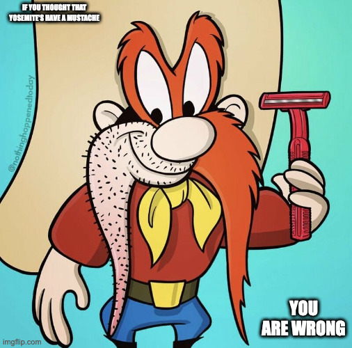 Yosemite's Mustache | IF YOU THOUGHT THAT YOSEMITE'S HAVE A MUSTACHE; YOU ARE WRONG | image tagged in yosemite sam,mustache,memes | made w/ Imgflip meme maker