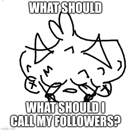 NVM THANK YOU @SNUDOO- | WHAT SHOULD; WHAT SHOULD I CALL MY FOLLOWERS? | image tagged in blank white but bigger | made w/ Imgflip meme maker