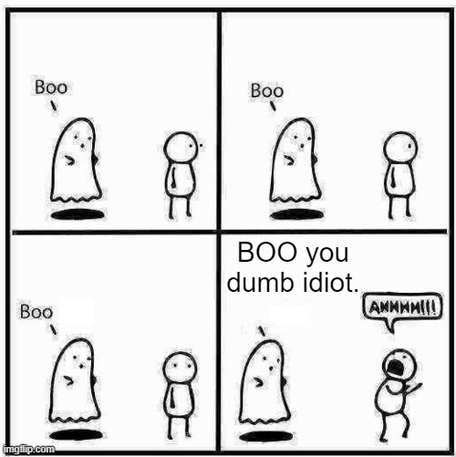 Ghost Boo | BOO you dumb idiot. | image tagged in ghost boo | made w/ Imgflip meme maker