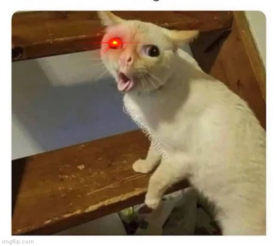 Mr incredible becoming weird phase 8 | image tagged in coughing cat | made w/ Imgflip meme maker