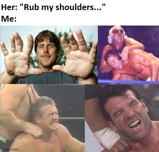 image tagged in wrestling | made w/ Imgflip meme maker