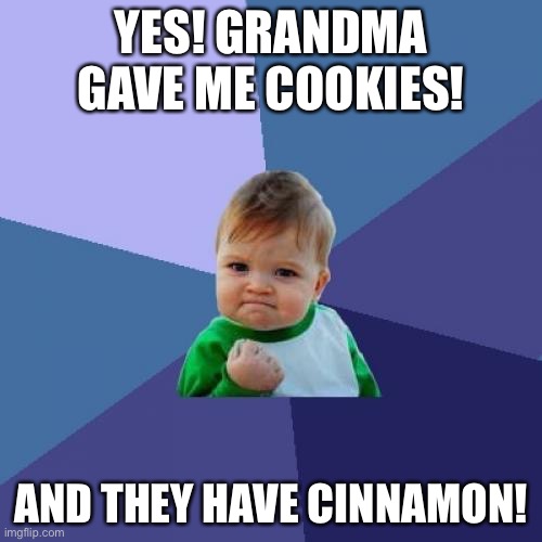 Success Kid Meme | YES! GRANDMA GAVE ME COOKIES! AND THEY HAVE CINNAMON! | image tagged in memes,success kid | made w/ Imgflip meme maker