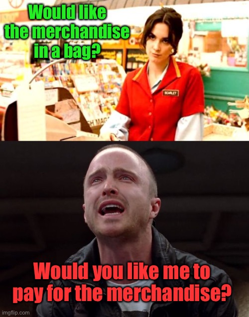 Would like the merchandise in a bag? Would you like me to pay for the merchandise? | image tagged in cashier meme,customers | made w/ Imgflip meme maker