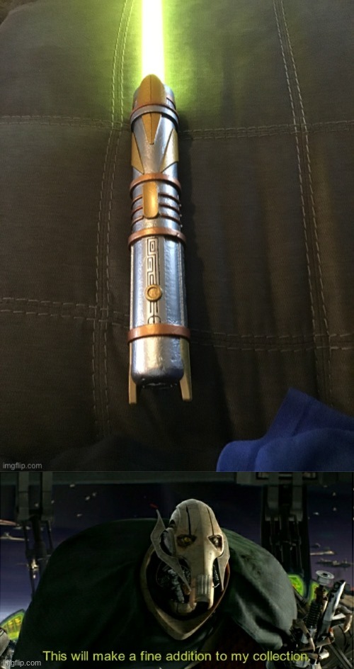 That is actually my lightsaber. what do you guys think? | image tagged in this will make a fine addition to my collection | made w/ Imgflip meme maker