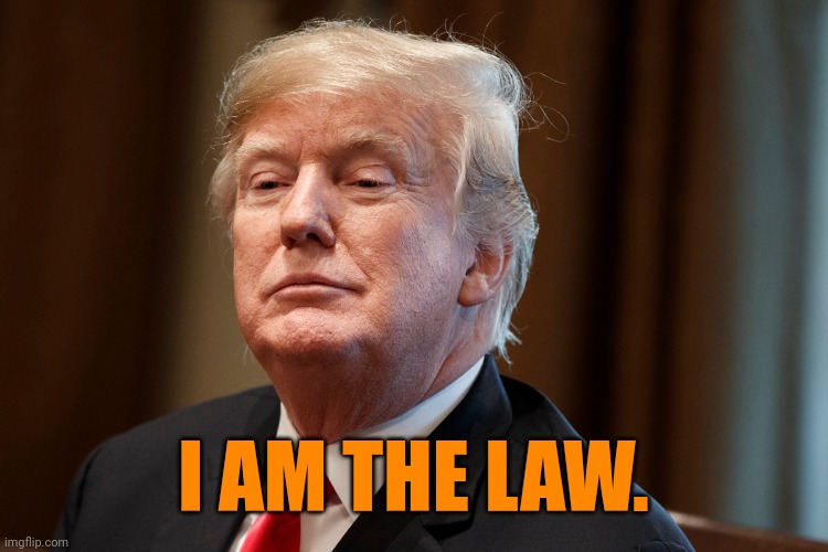 I AM THE LAW. | image tagged in trump | made w/ Imgflip meme maker