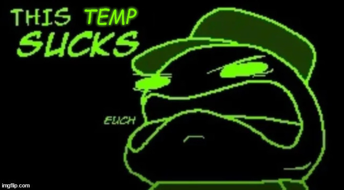 new temp lol | TEMP | image tagged in disgusted espacio | made w/ Imgflip meme maker