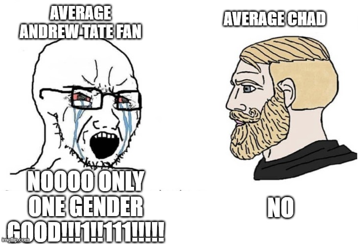 Average Andrew tate fans | AVERAGE ANDREW TATE FAN; AVERAGE CHAD; NO; NOOOO ONLY ONE GENDER GOOD!!!1!!111!!!!! | image tagged in soyboy vs yes chad | made w/ Imgflip meme maker