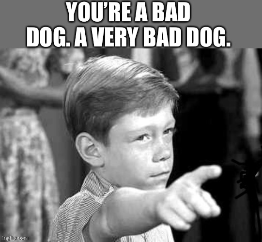 Thony corn | YOU’RE A BAD DOG. A VERY BAD DOG. | image tagged in thony corn | made w/ Imgflip meme maker