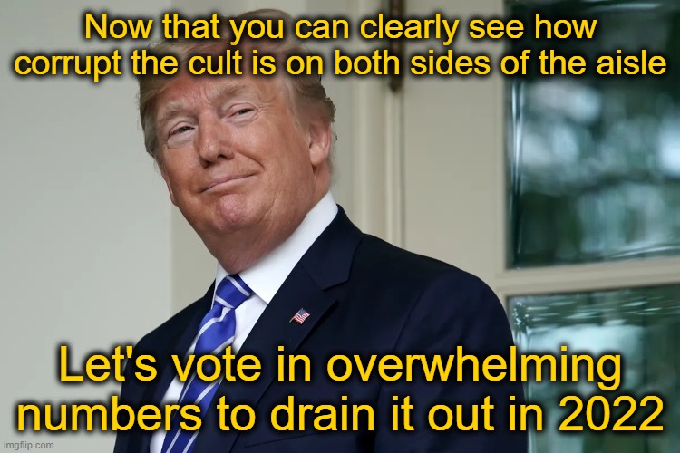 Patriots and Traitors |  Now that you can clearly see how corrupt the cult is on both sides of the aisle; Let's vote in overwhelming numbers to drain it out in 2022 | image tagged in drain the swamp | made w/ Imgflip meme maker