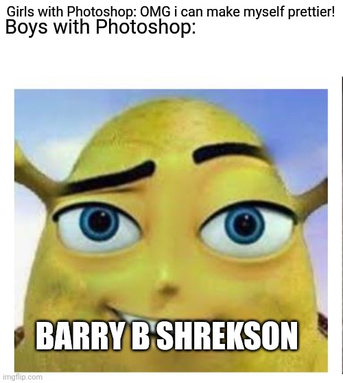 Boys with Photoshop because why not | Boys with Photoshop:; Girls with Photoshop: OMG i can make myself prettier! BARRY B SHREKSON | image tagged in barry b shrekson | made w/ Imgflip meme maker