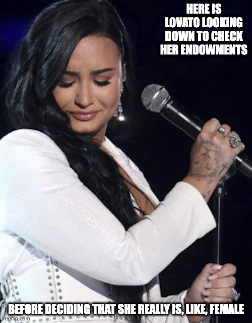 Demi Lovato | HERE IS LOVATO LOOKING DOWN TO CHECK HER ENDOWMENTS; BEFORE DECIDING THAT SHE REALLY IS, LIKE, FEMALE | image tagged in demi lovato,memes | made w/ Imgflip meme maker