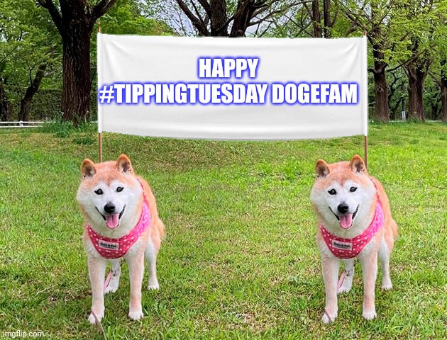 Dogs with flag | HAPPY #TIPPINGTUESDAY DOGEFAM | image tagged in dogs with flag | made w/ Imgflip meme maker