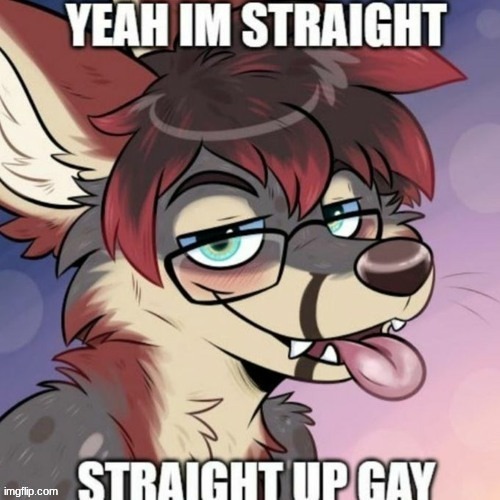 me | image tagged in gay furry | made w/ Imgflip meme maker