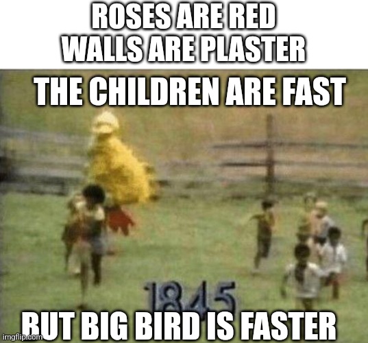 ROSES ARE RED 
WALLS ARE PLASTER; THE CHILDREN ARE FAST; BUT BIG BIRD IS FASTER | image tagged in big bird | made w/ Imgflip meme maker