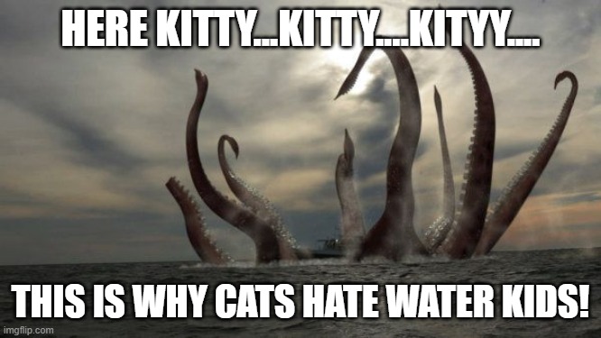 kraken | HERE KITTY...KITTY....KITYY.... THIS IS WHY CATS HATE WATER KIDS! | image tagged in kraken | made w/ Imgflip meme maker