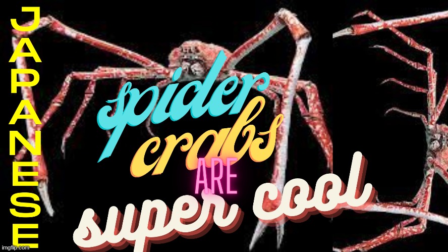 'mong us | image tagged in spidercrab,japanesespidecrab,japanese spider crab,random,no context,nocontext | made w/ Imgflip meme maker