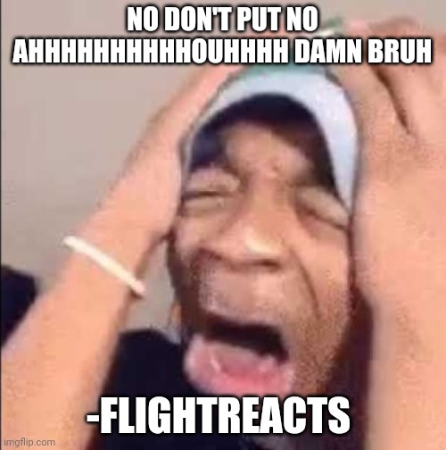 Flightreacts crying | NO DON'T PUT NO AHHHHHHHHHHOUHHHH DAMN BRUH; -FLIGHTREACTS | image tagged in flightreacts crying | made w/ Imgflip meme maker