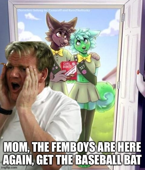 H | MOM, THE FEMBOYS ARE HERE AGAIN, GET THE BASEBALL BAT | made w/ Imgflip meme maker
